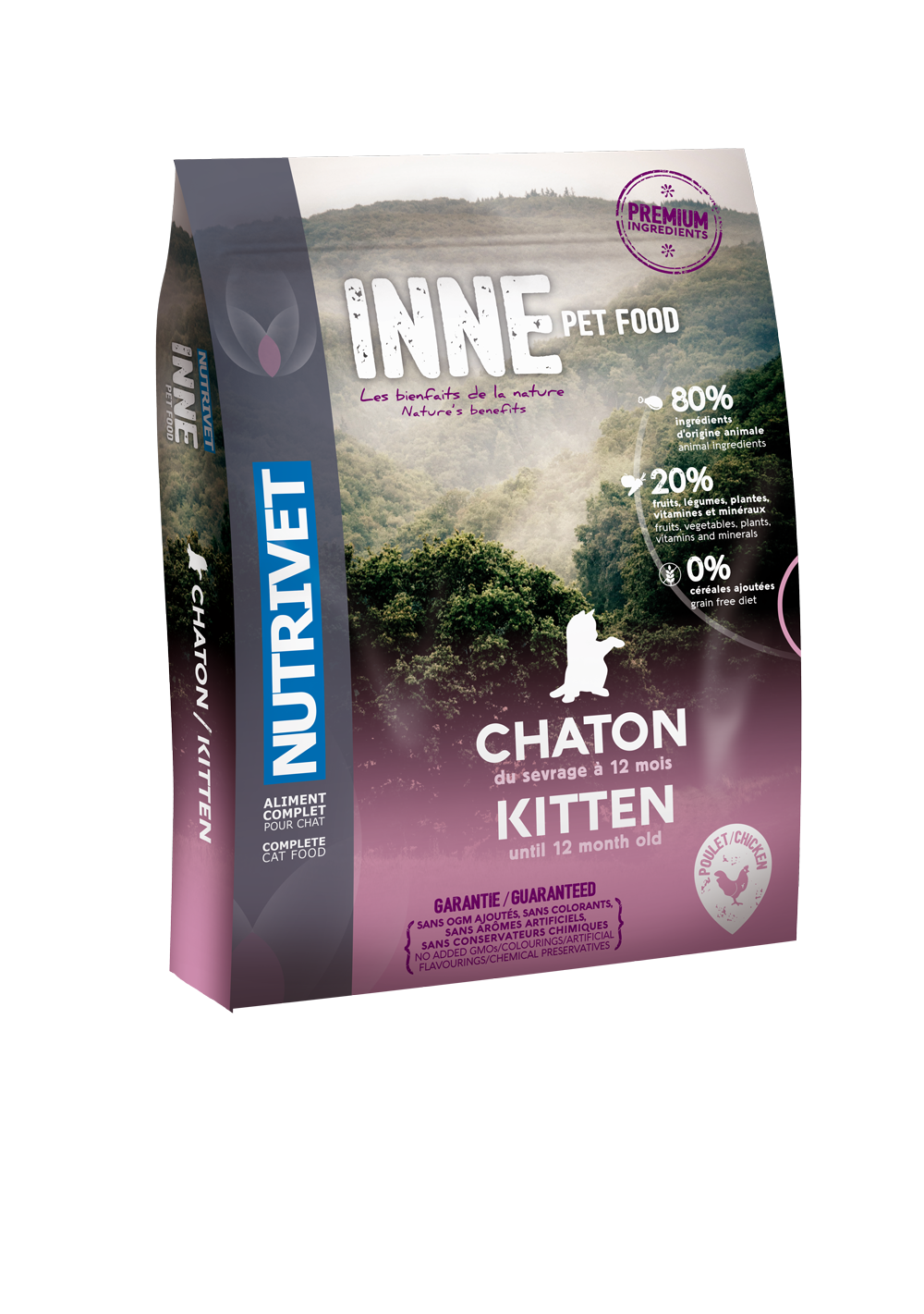 INNE CAT - Kitten